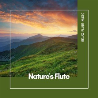 Nature's Flute: Relaxing Sounds for Quiet Moments