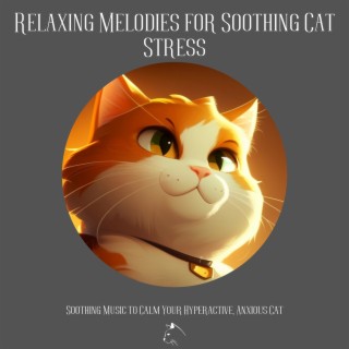 Relaxing Melodies for Soothing Cat Stress