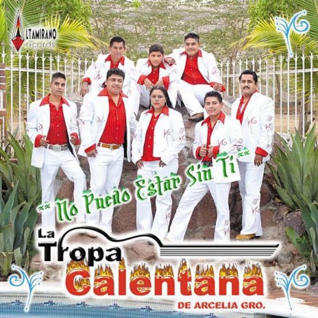 Gallo de tierra caliente | Boomplay Music