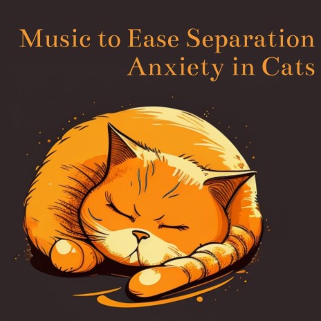 Relieve Stress in Pets ft. Cat Music Relaxation & Cats Music Zone | Boomplay Music