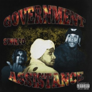 Government Assistance