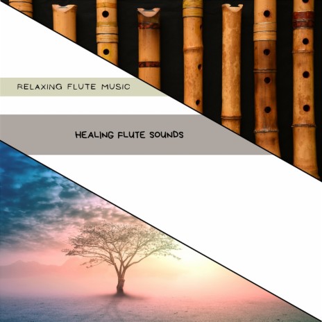 Serene Sanctuary ft. Flute Relaxation & Dr. Meditation | Boomplay Music