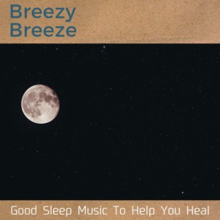 Good Sleep Music to Help You Heal