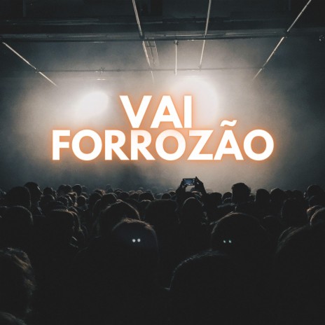 Vai Forrozão | Boomplay Music