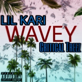 Wavey (feat. lil Kari)