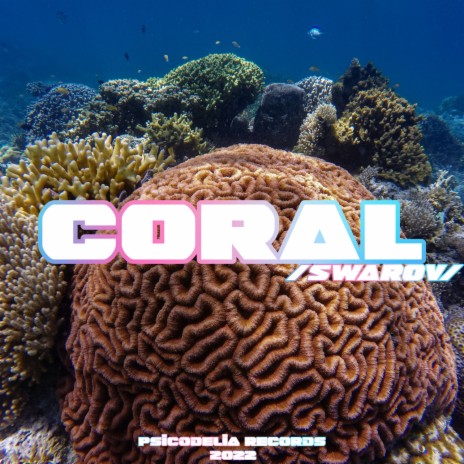 Coral (Original Mix) | Boomplay Music
