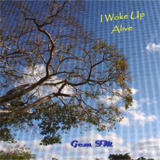 I Woke Up Alive lyrics | Boomplay Music