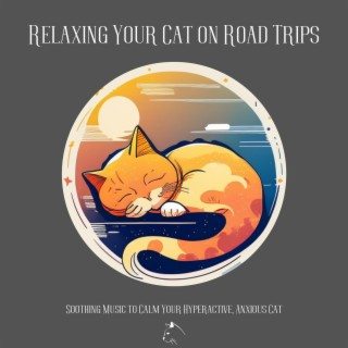 Relaxing Your Cat on Road Trips