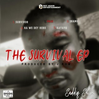 Survivor lyrics | Boomplay Music