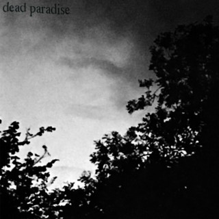 Dead Paradise