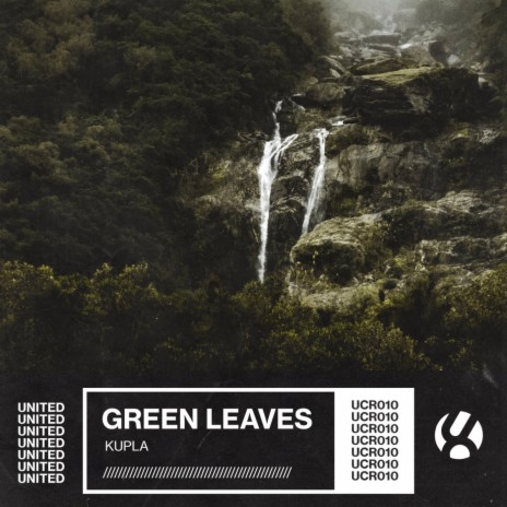 Green Leaves | Boomplay Music