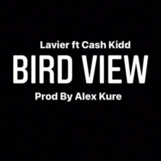 Bird view (feat. Cash Kidd)