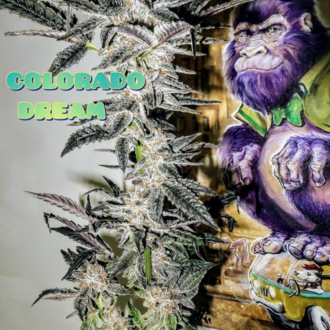 Colorado Dream