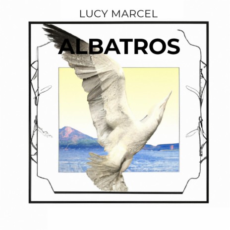 Albatros | Boomplay Music
