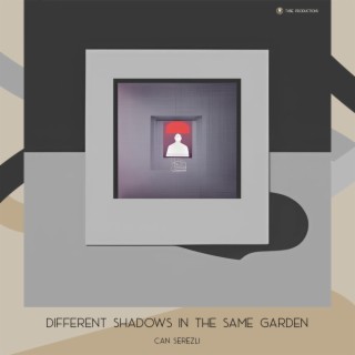 Different Shadows In The Same Garden