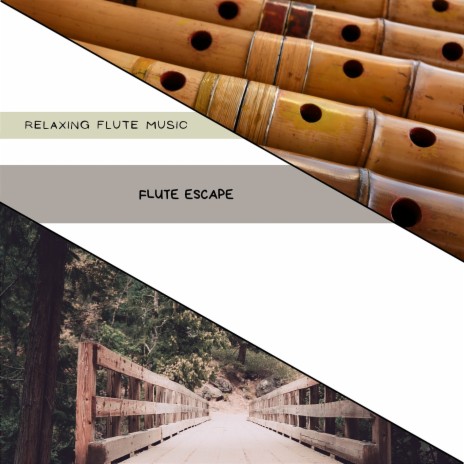 Flute Escape | Boomplay Music
