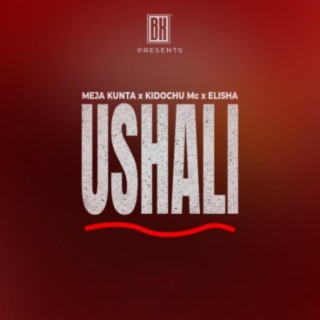 Ushali ft. Kidochu & Dogo Elisha lyrics | Boomplay Music
