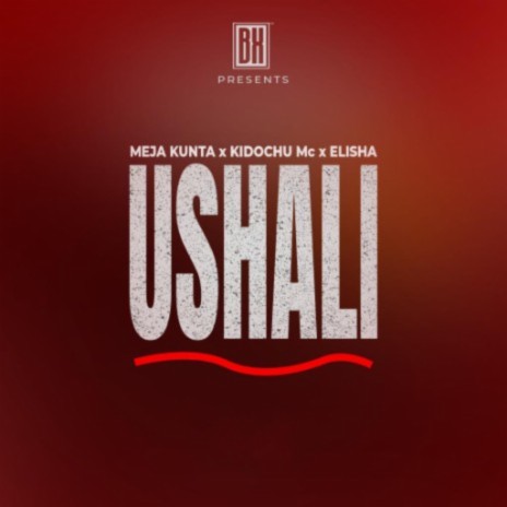 Ushali ft. Kidochu & Dogo Elisha | Boomplay Music