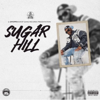 Sugar Hill Freestyle lyrics | Boomplay Music