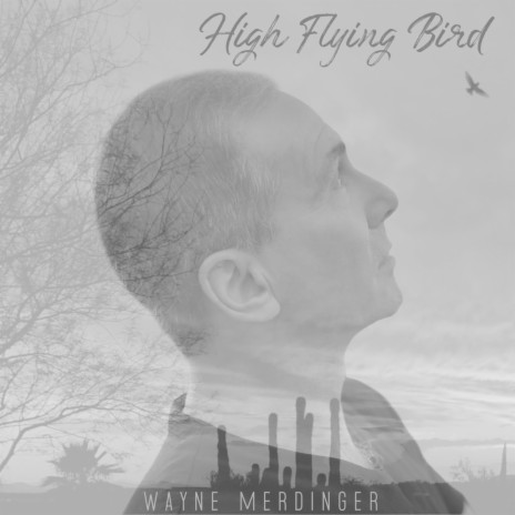 High Flying Bird | Boomplay Music