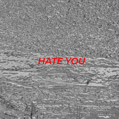 HATE YOU | Boomplay Music