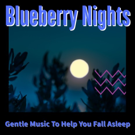 The Calming of the Night | Boomplay Music