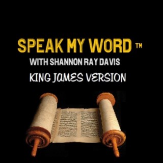 "2 Samuel 17-19" / Speak My Word / Omegaman Episode 10824
