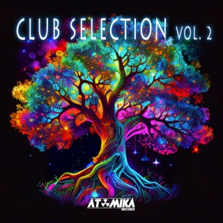 Club Selection, Vol. 2