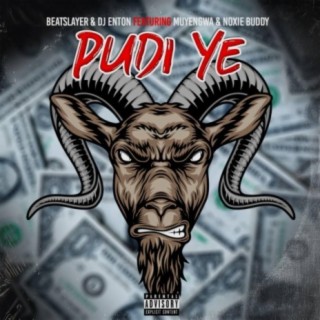 Pudi (feat. Dj Enton, Noxiebuddy & Muyengwa)