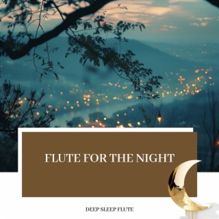 Flute for the Night: Calming Sleep Music