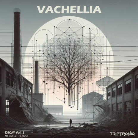 Vachellia | Boomplay Music