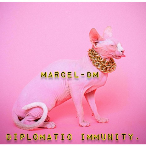 Diplomatic Immunity | Boomplay Music