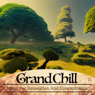 Music for Relaxation and Concentration