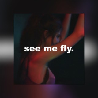 See my fly