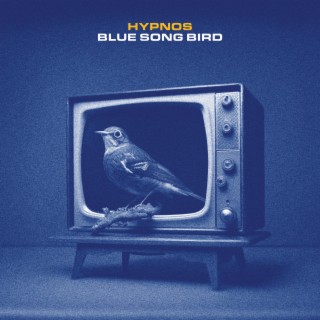 Blue Song Bird