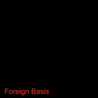 Foreign Basis