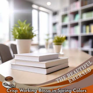 Crisp Working Bossa in Spring Colors