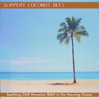 Soothing Chill Hawaiian Bgm in the Morning Ocean