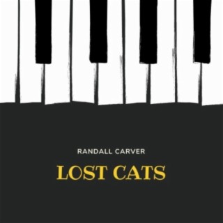 Lost Cats