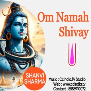 OM NAMAH SHIVAYE ! ॐ नमः शिवाय !