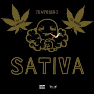 Sativa