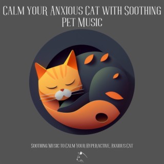 Calm Your Anxious Cat with Soothing Pet Music