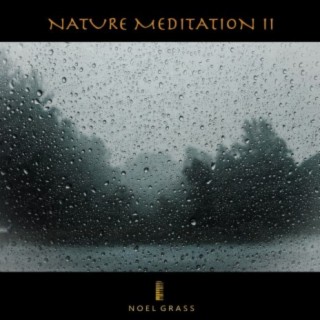 Nature Meditation II