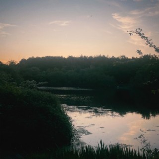 Down By The River