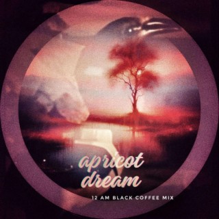 Apricot Dream (12am Black Coffee Mix)