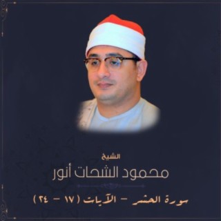محمود الشحات أنور