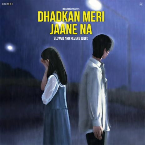 Dhadkan Meri Jaane Na (Slowed and Reverb - Lofi) | Boomplay Music