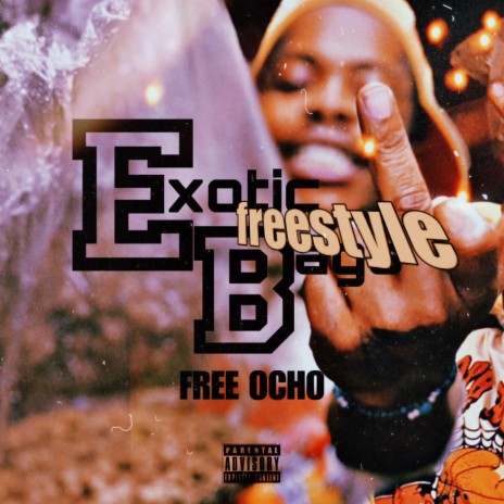 Exotic Bags Freestyle (Big Daddy) | Boomplay Music