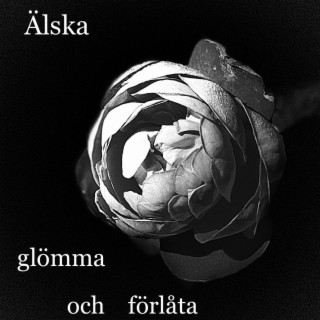 Älska, glömma och förlåta