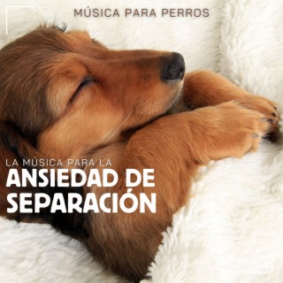 La música para la ansiedad de separación